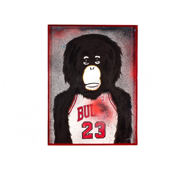 Monkey NBA - MJ