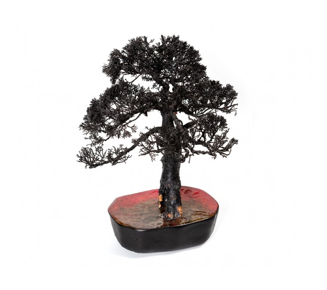 Bonsai Black (Hidden Monkey)