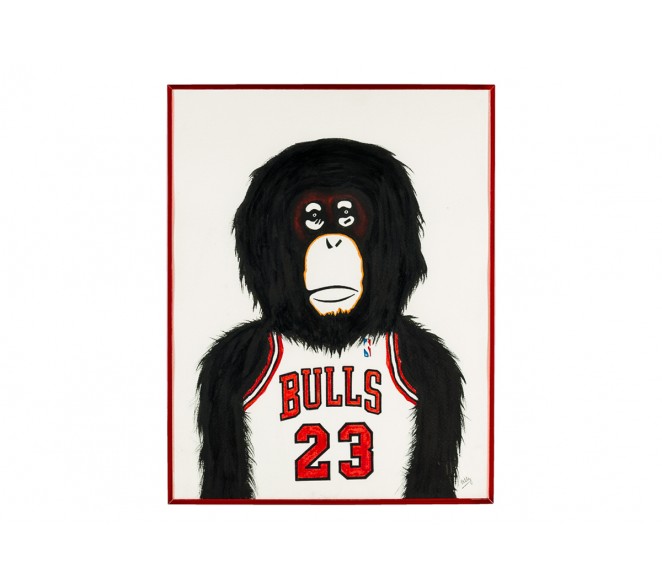 Monkey NBA - Chicago Bulls