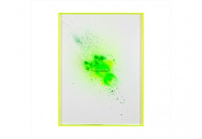 Quadro Clorofila 2