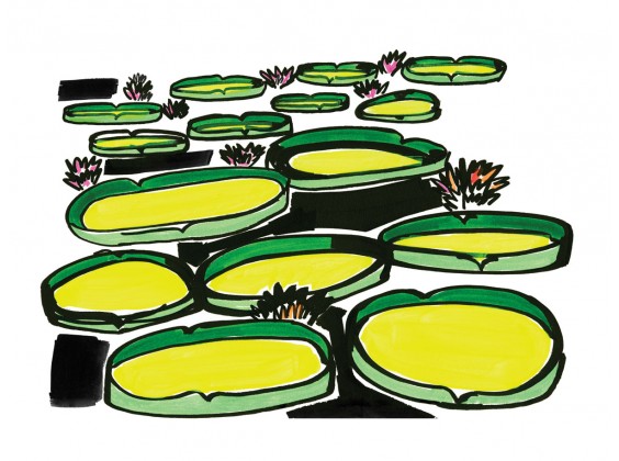 Print Filipe Jardim - Vitória-Régia