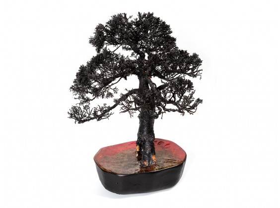 Bonsai Black (Hidden Monkey)