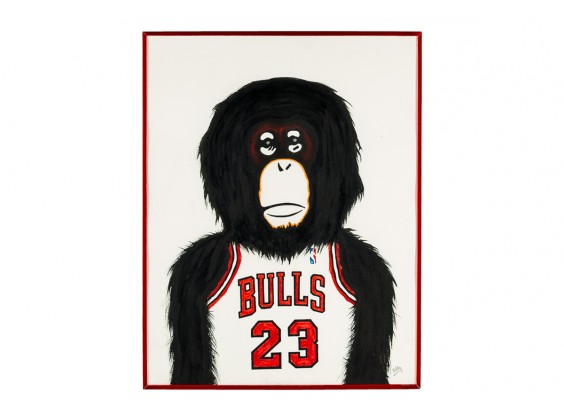 Monkey NBA - Chicago Bulls