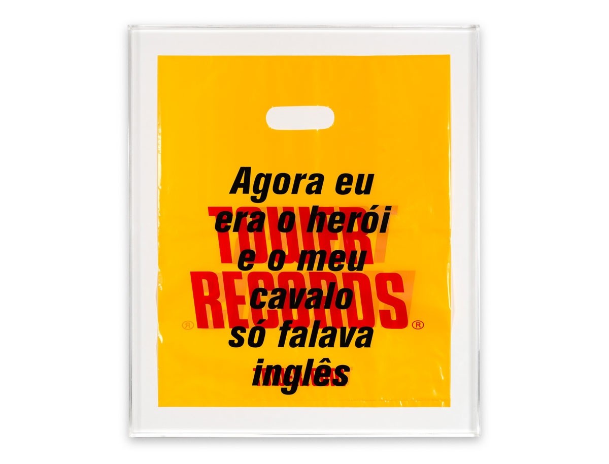 Agora eu era o herói e o meu cavalo só falava inglês